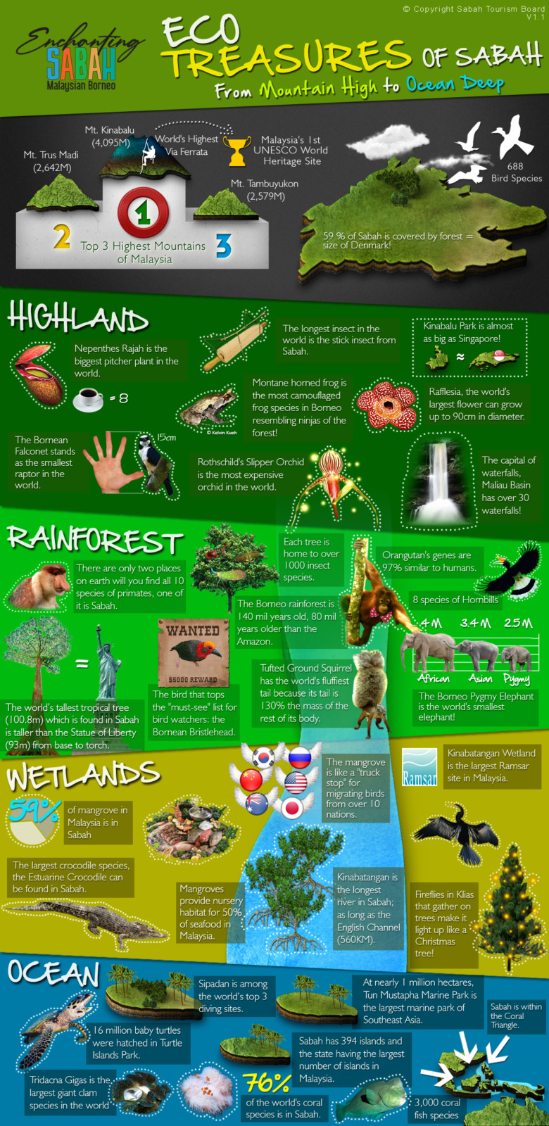 Eco treasures of Sabah