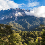 Best things to do in Kinabalu National Park