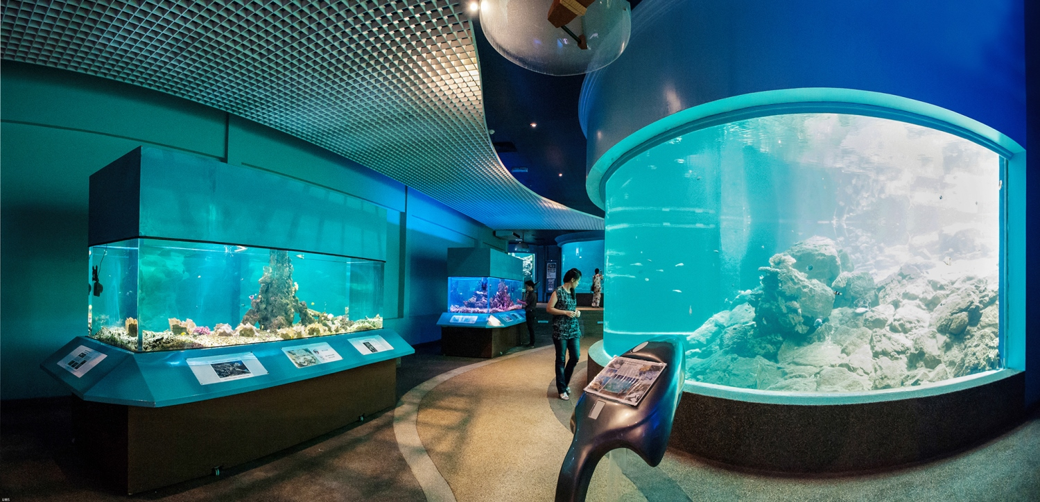 Marine Museum and Aquarium. Photo credit: Universiti Malaysia Sabah