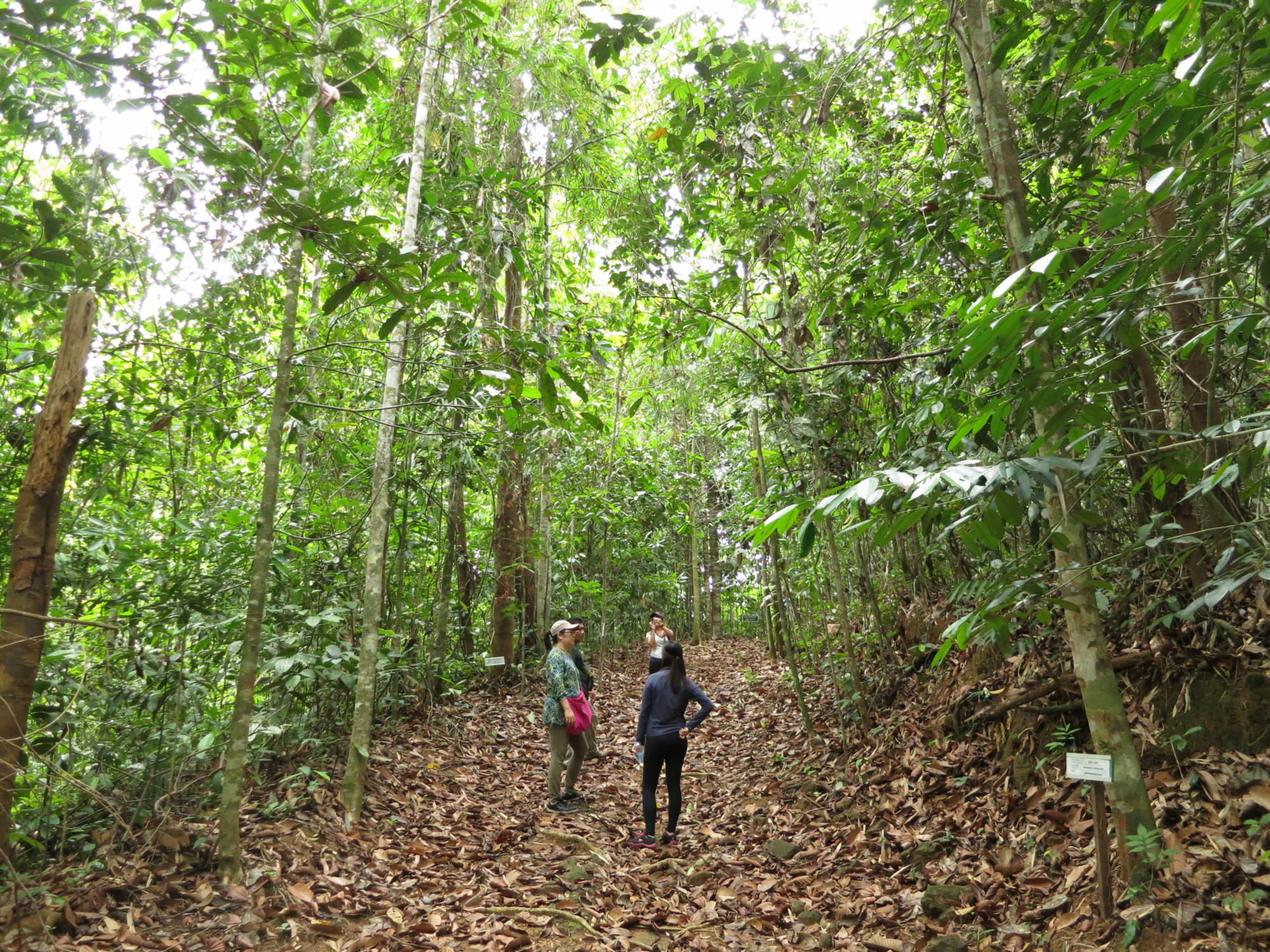 Deramakot Forest Reserve