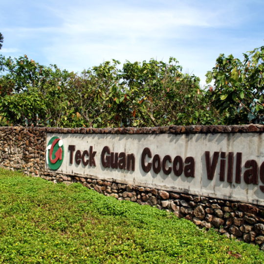 Teck Guan Cocoa Village