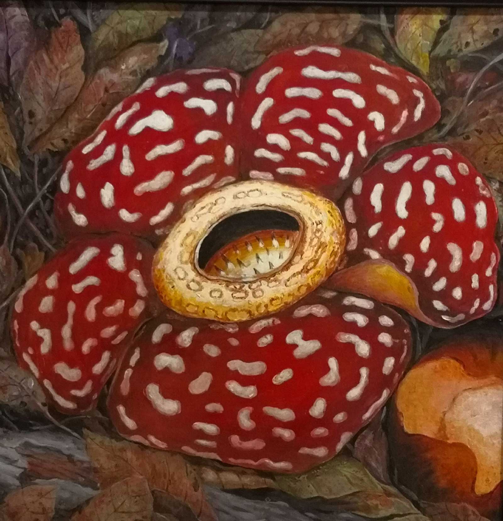Rafflesia-of-Borneo-by-Edoen-Kang