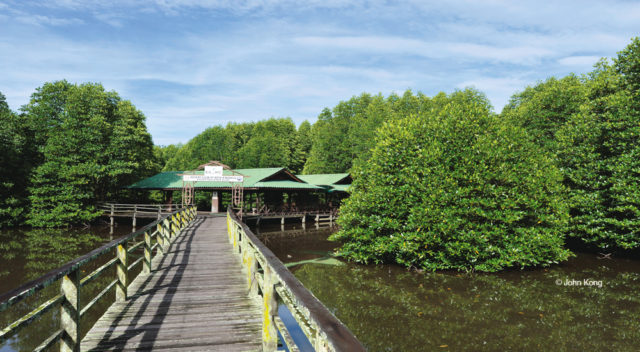 Kota Kinabalu Wetlands